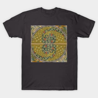 The Peacock Wheel T-Shirt